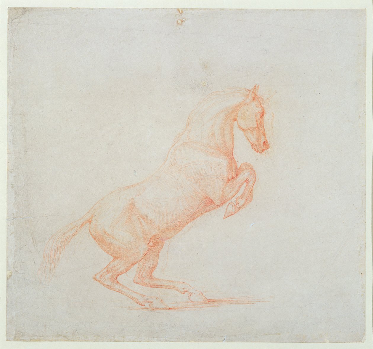 跳ね馬、右向き、1790（紙に赤いチョーク） 作： ジョージ・スタッブス