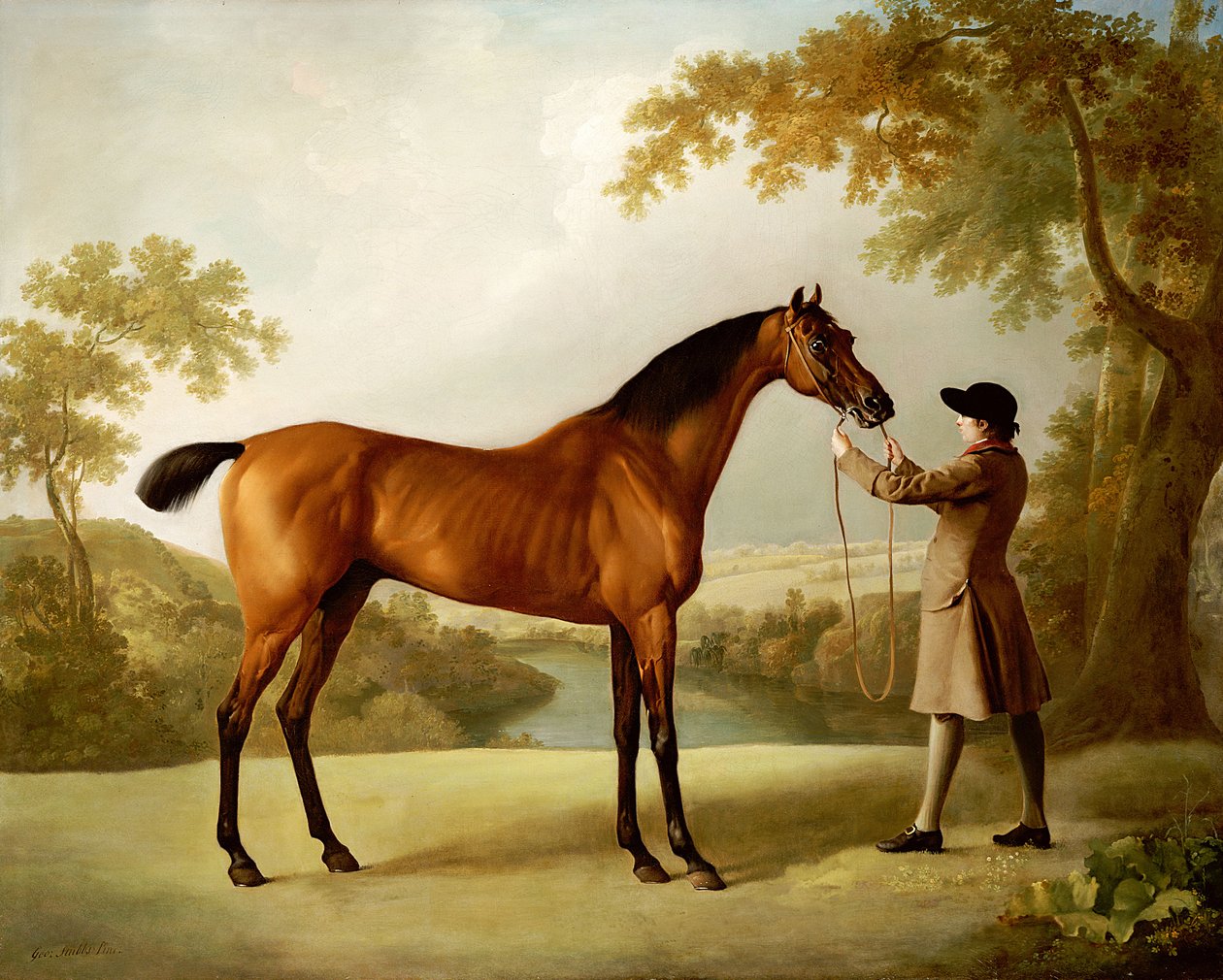 広大な風景の中で花婿が抱く競馬場、トリストラムシャンディ、1760年頃 作： ジョージ・スタッブス