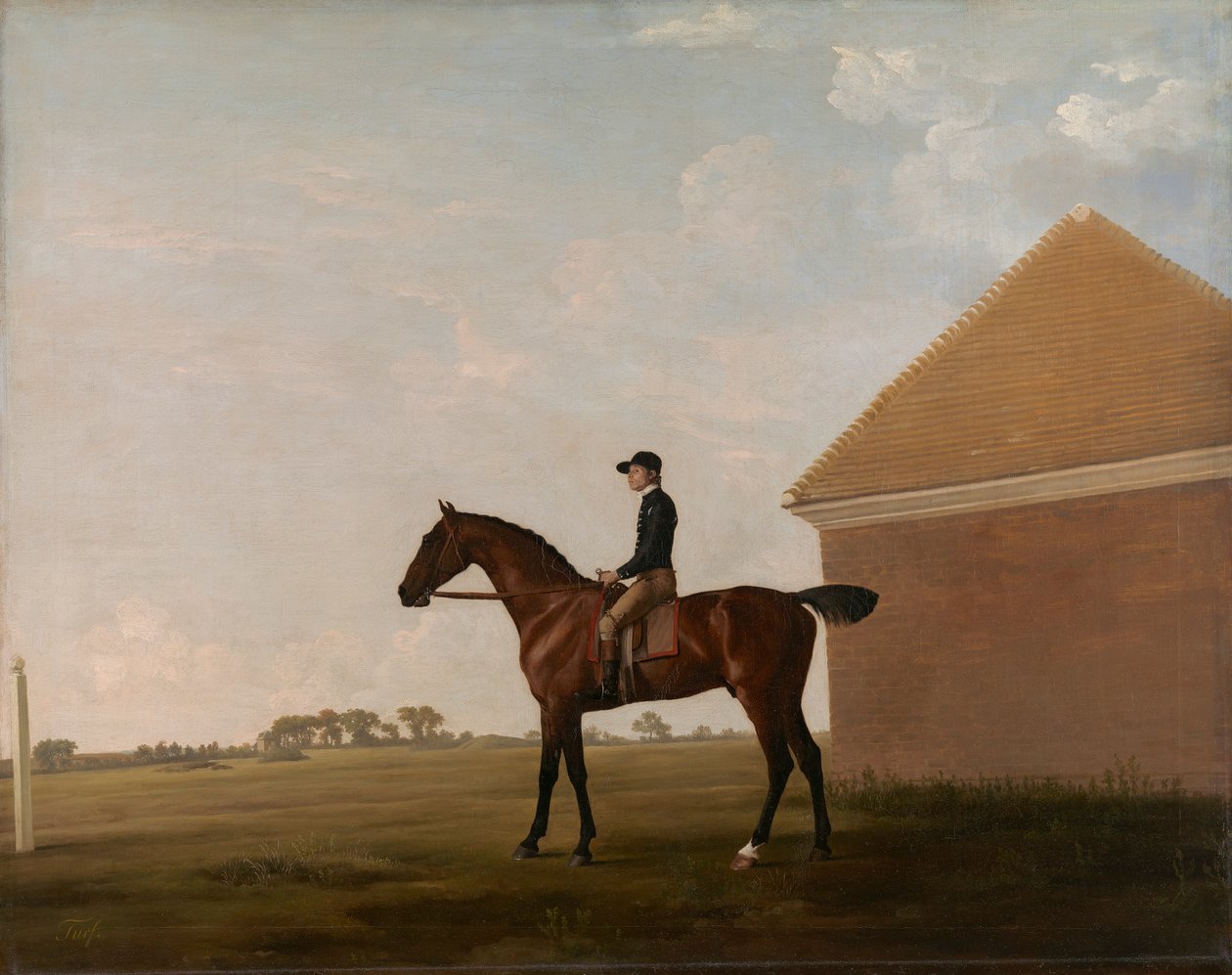Turf, with Jockey up, at Newmarket   1432383   ja       japanese Successfully Translated  Original: Tetra neon ou neon bleu - Neon tetra (Paracheirodon innesi) Translat: Tetra neon ou neon bleu - Neon tetra (Paracheirodon innesi) 1439167 ja japanese Succes 作： ジョージ・スタッブス
