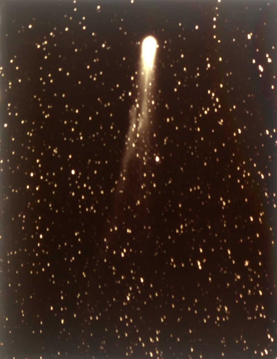ハレー彗星、1910 年。 作： ジョージウィリスリッチー