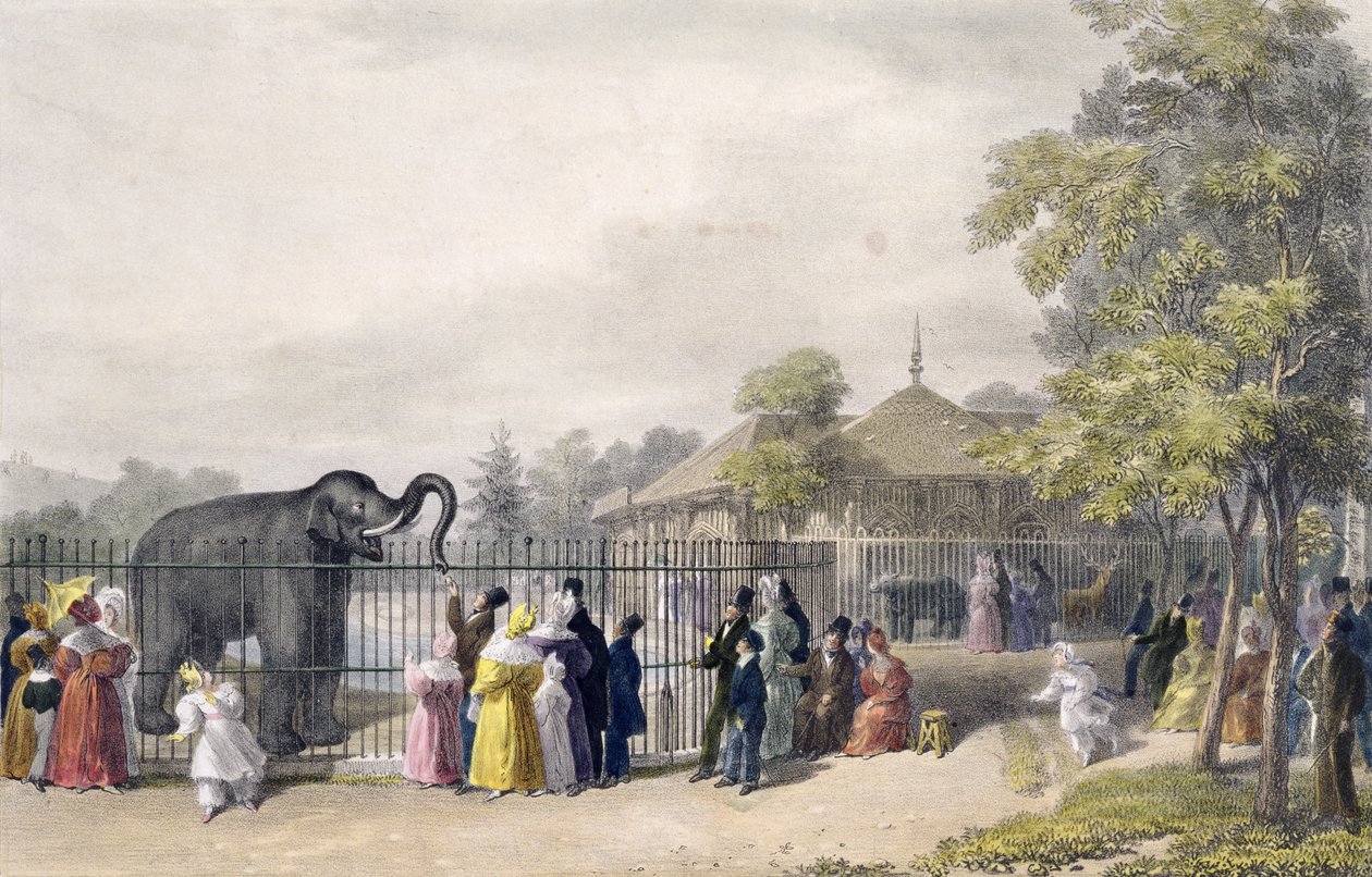 動物園のエレファントハウス、リージェンツパーク、彫刻、パブ。チャールズハルマンデル（1789〜1850年）、1835年作家 作： ジョージ・ザ・エルダー・シャープ