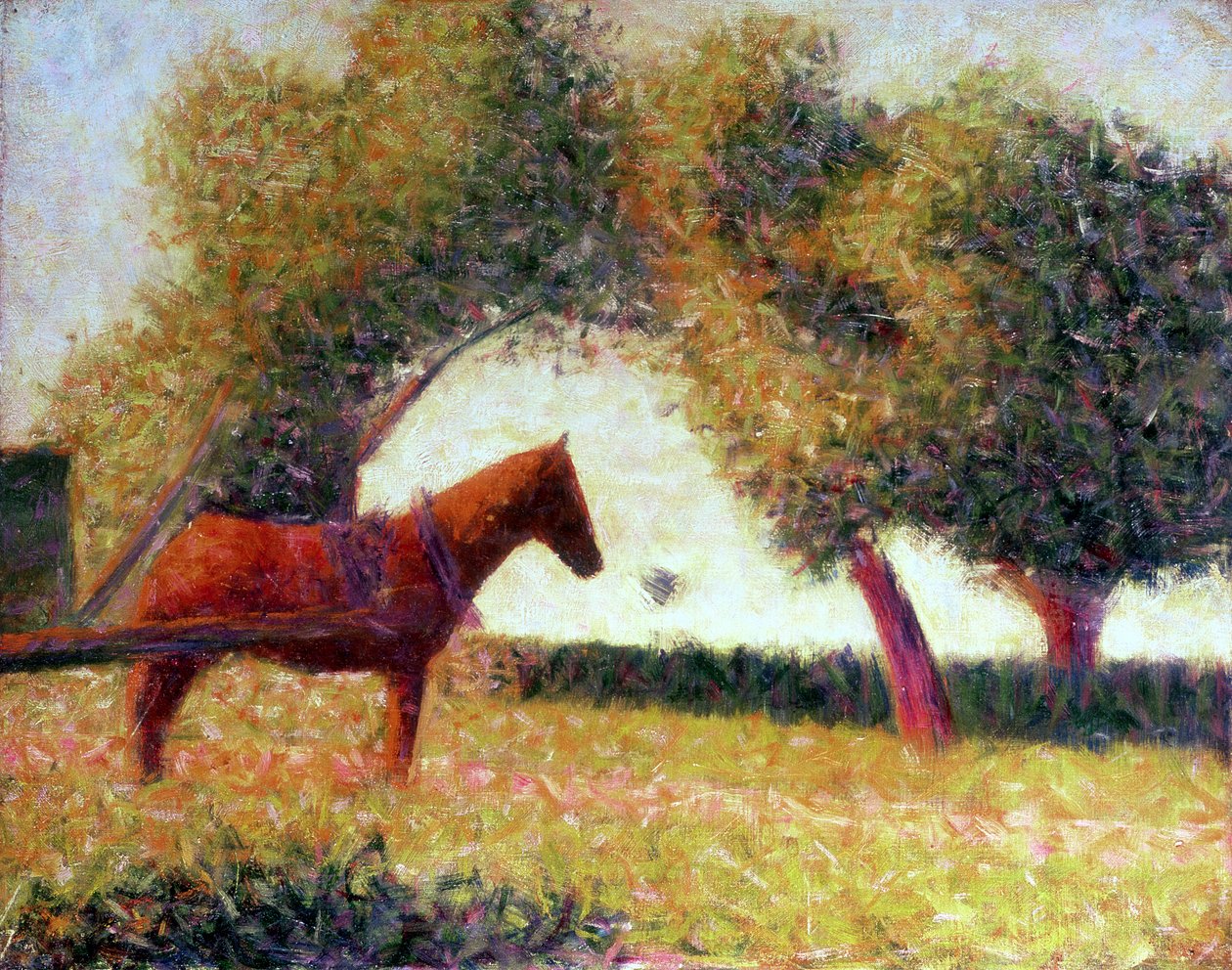 馬具を付けた馬、1883年