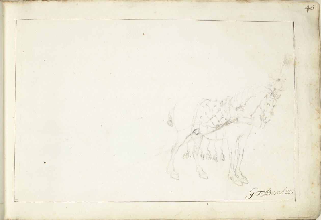馬、右 作： Gerard ter Borch（II）（アーティストによる署名）