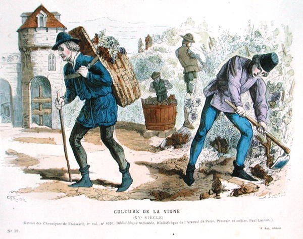 15世紀のブドウ栽培、フロワサールの「Chroniques」の後、「Costumes de Paris a Travers les Siecles」編より。1887年に出版されたRoy編の「Costumes de Paris Traversles les Siecles」より。 作： Gerlier（後）