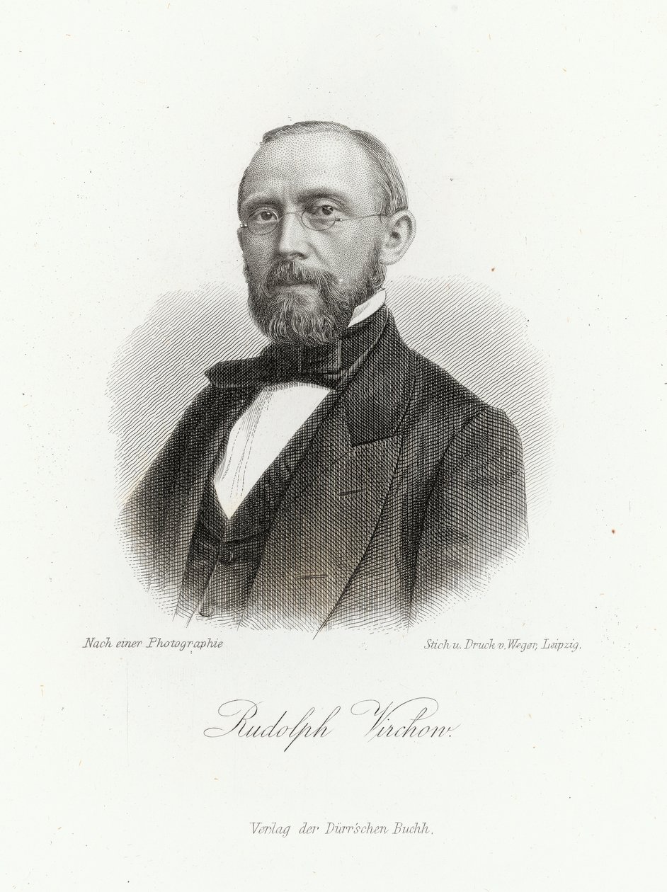 1872年にライプツィヒで開催された「Allgemeine Moden-Zeitung」のルドルフヴィルコウ（1821-1902） 作： ドイツ語学校
