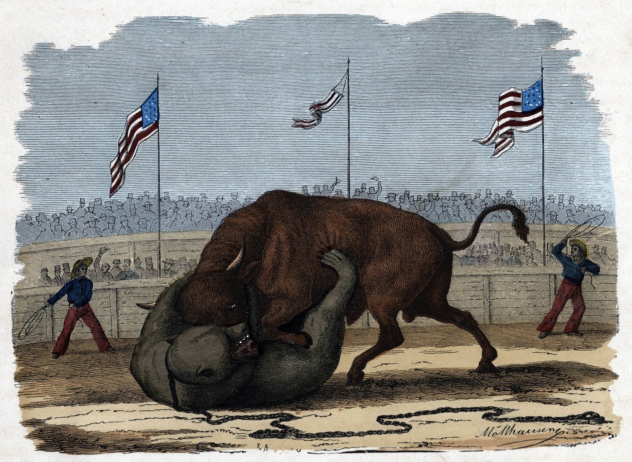 闘技場で行われる雄牛と熊の激しい戦い。フランツ・ヴィーデマンの