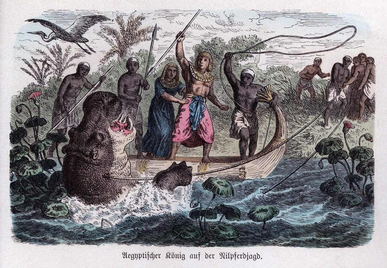  作： ドイツ語学校