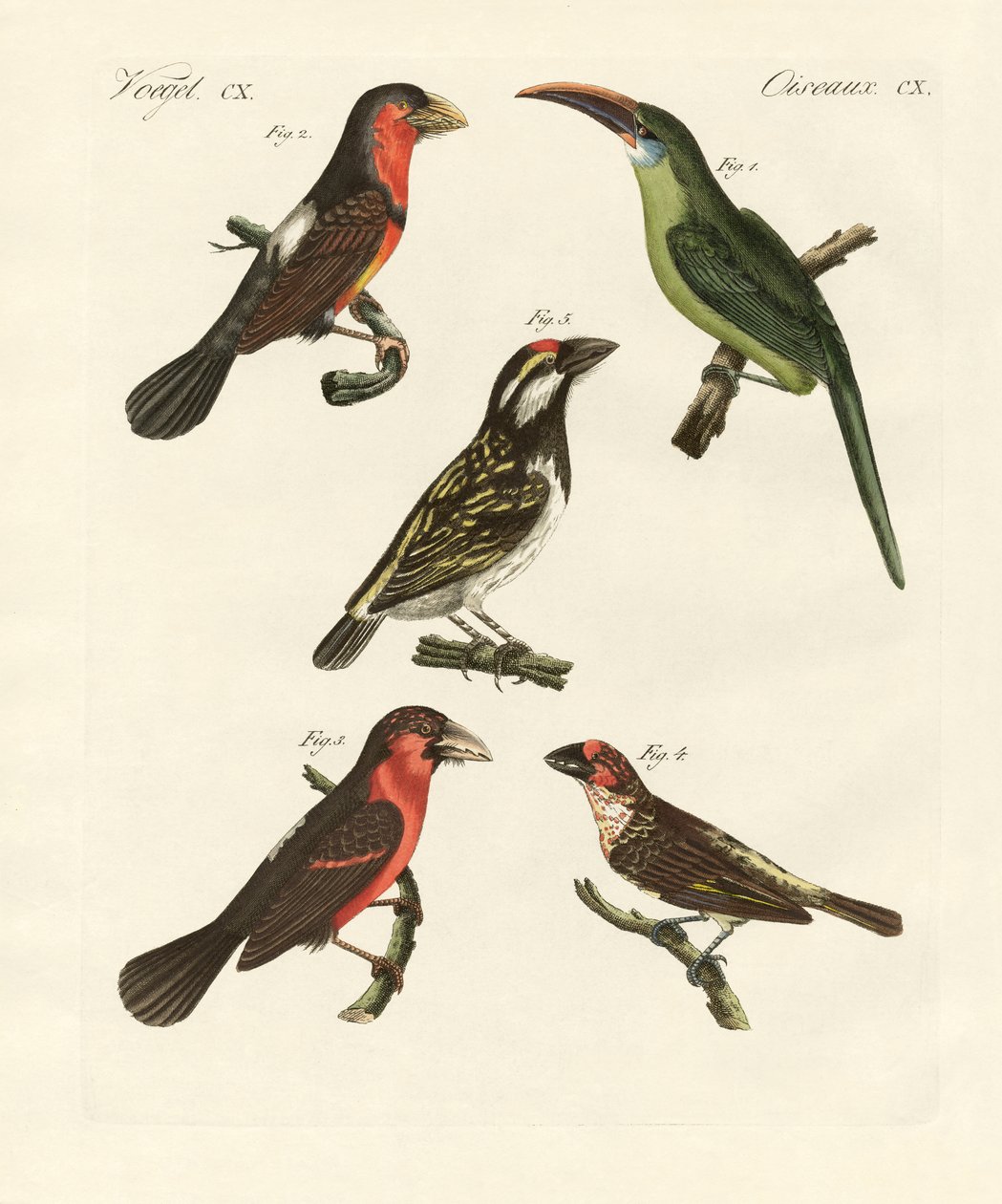 美しく登ってくる鳥たち（彩色済み彫刻 作： ドイツ語学校
