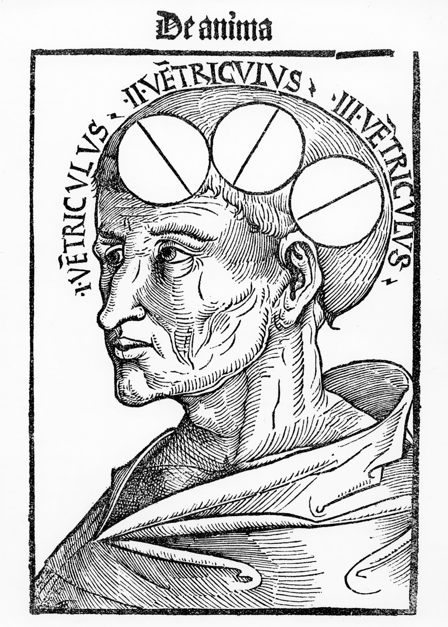 1506年にバーゼルで公開されたAlbertus MagnusによるPhilosophia Naturalisの脳の空洞 作： ドイツ語学校