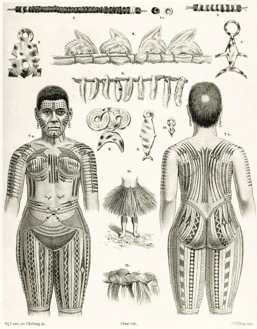 ポリネシアのジュエリー、装飾品、タトゥーのデザインを示す図、1888 作： ドイツ語学校