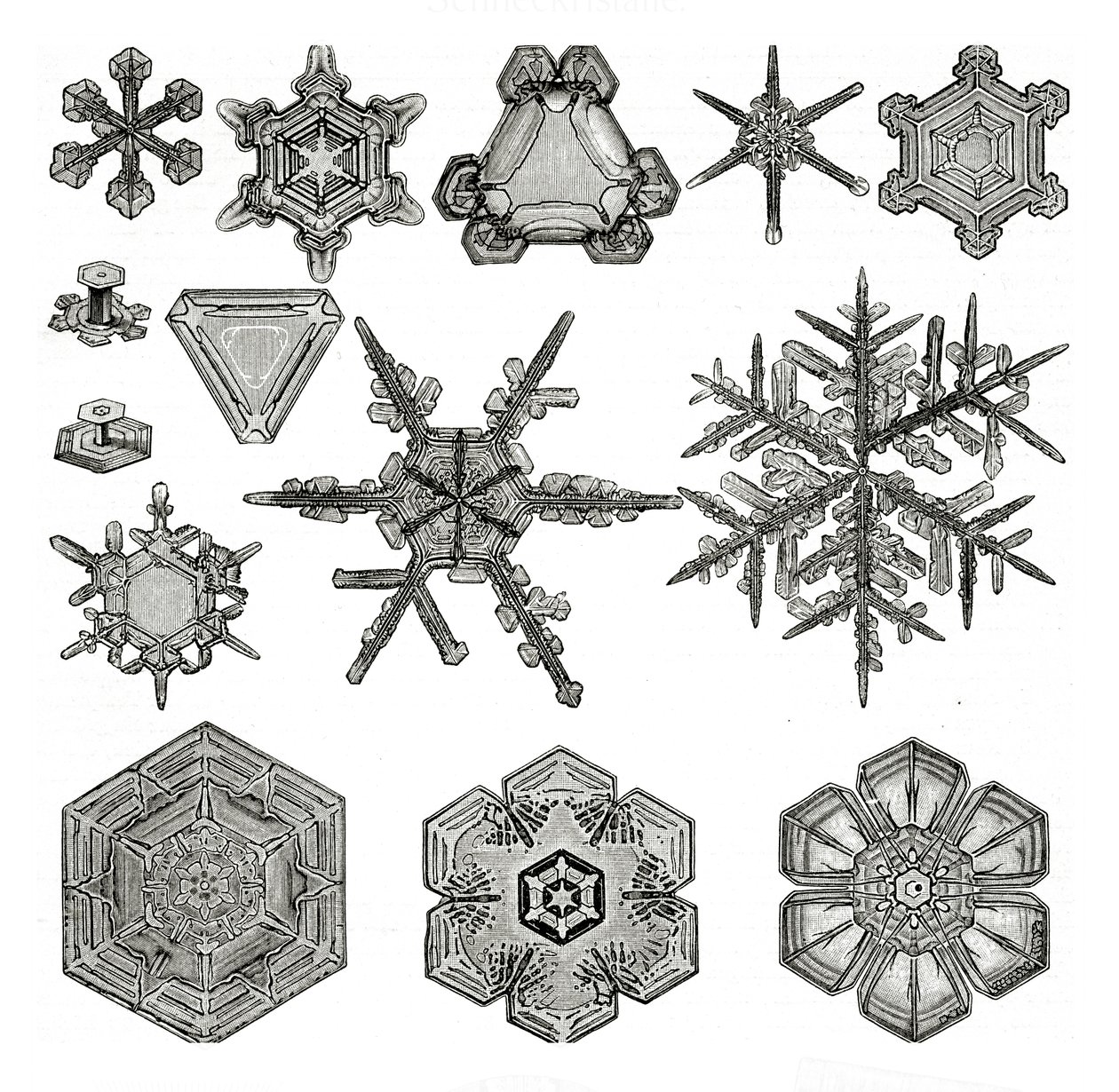 雪の結晶の形の違い | ドイツ語学校