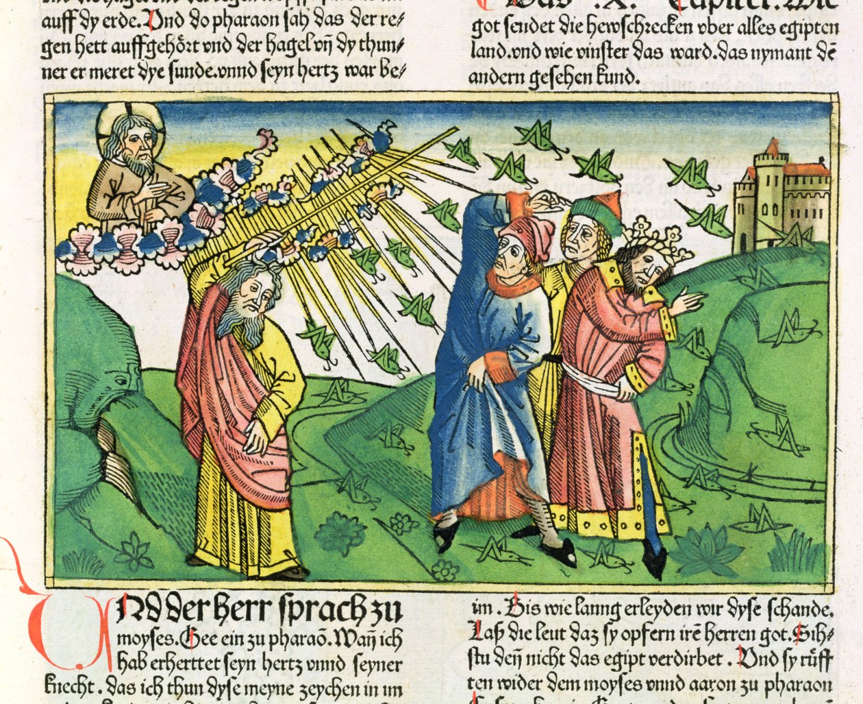 出エジプト記10：1-20エジプトの七つの災い：ニュルンベルク聖書（Biblia Sacra Germanaica）からのイナゴの疫病（色の木版画） 作： ドイツ語学校