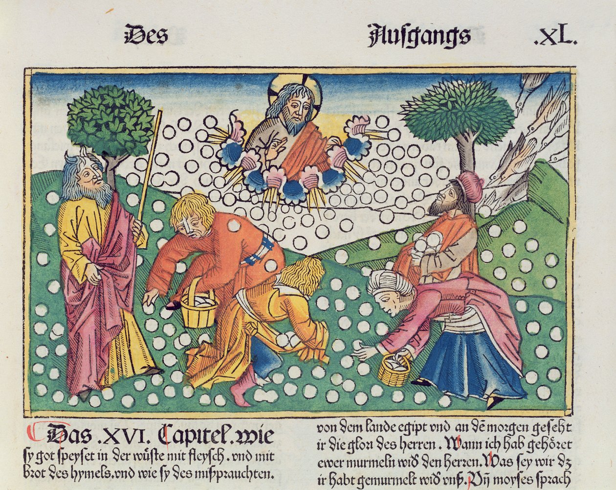 出エジプト記16 13-22神は、ニュルンベルク聖書（Biblia Sacra  Germanaica）（色付きの木版画）からイスラエル人にウズラとマナを提供しました