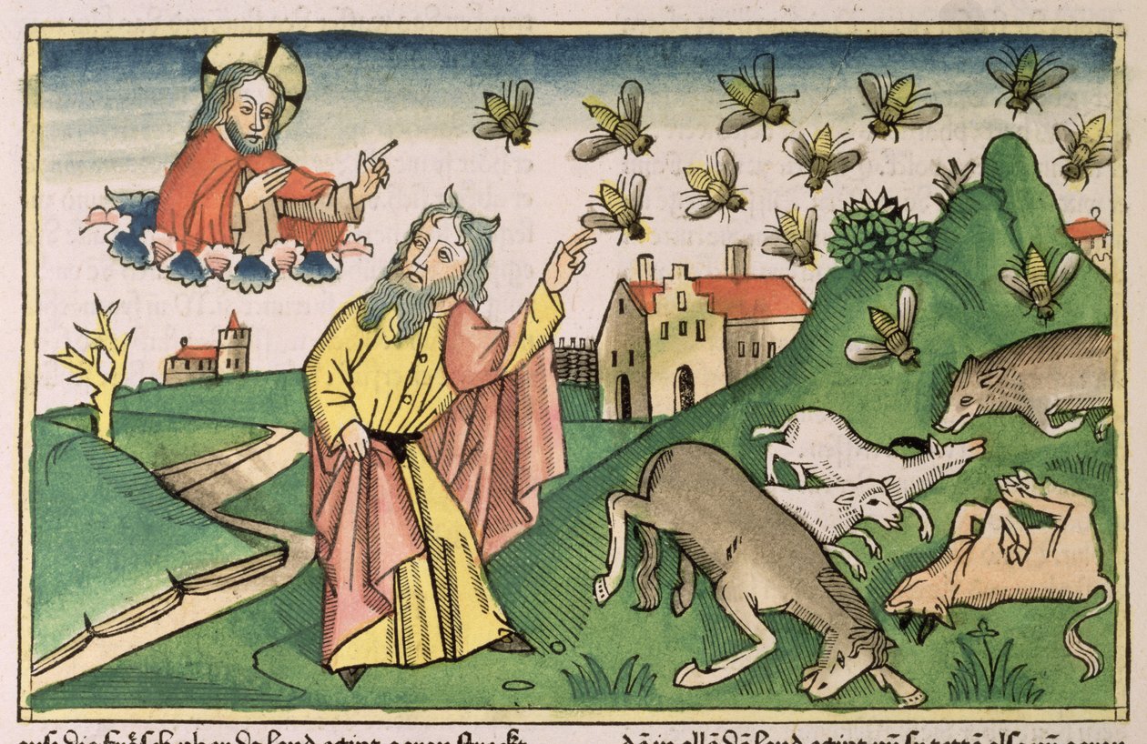 出エジプト記 8 20-32 エジプトの七つの災い: モーセとハエの群れ、「ニュルンベルク聖書 (Biblia Sacra Germanaica)」から (色付きの木版画) 作： ドイツ語学校