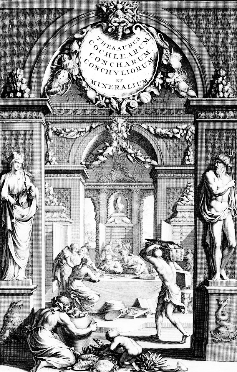 1739年に出版されたEberhard Bumphius版によるフィッシュポットの貴重な画像への口絵 作： ドイツ語学校