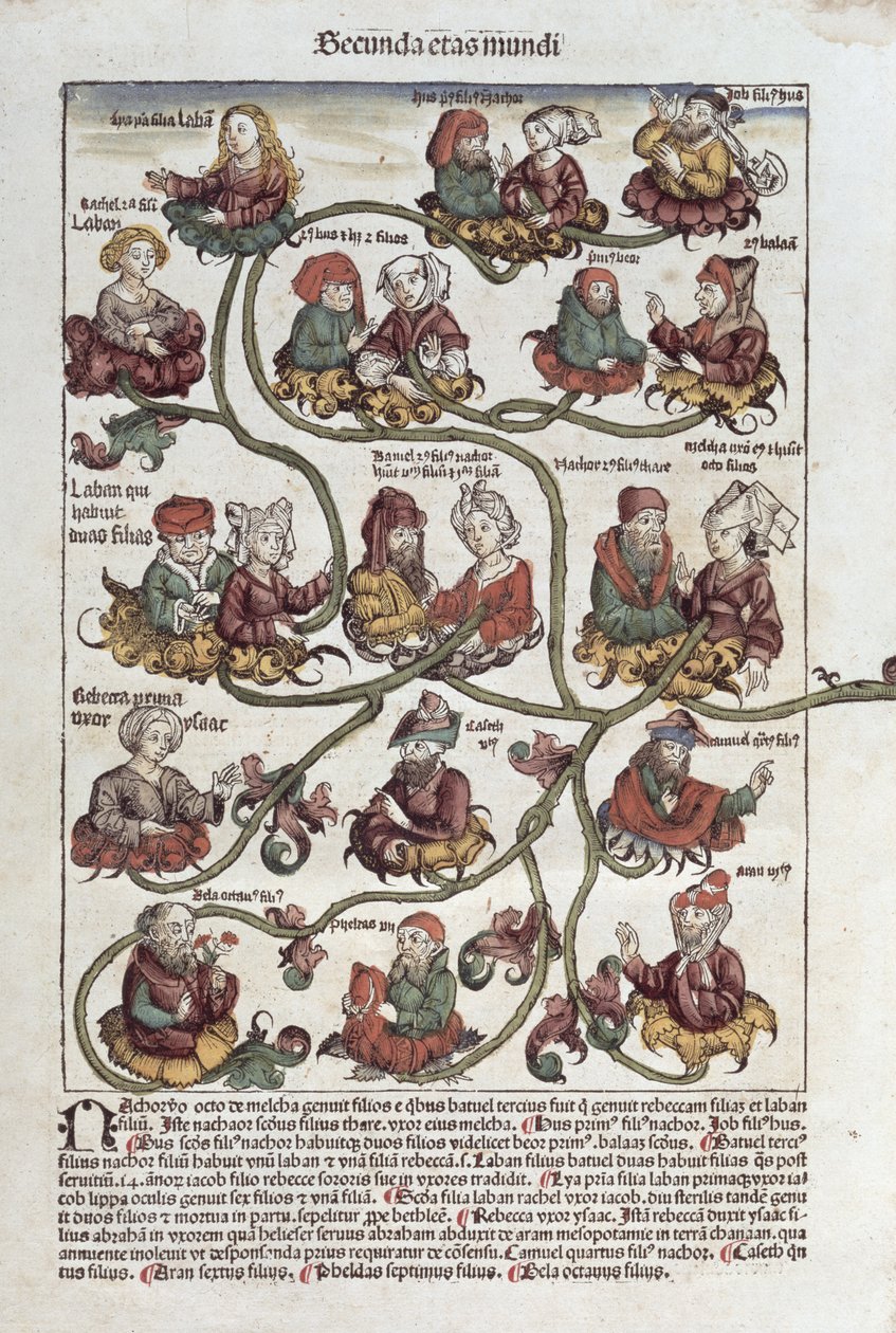 ハートマンシェデル（1440-1514）による &39;Liber Chronicarum&39;からのラバンの系統樹1493（カラー木版） 作： ドイツ語学校