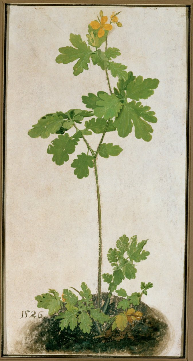  作： ドイツ語学校