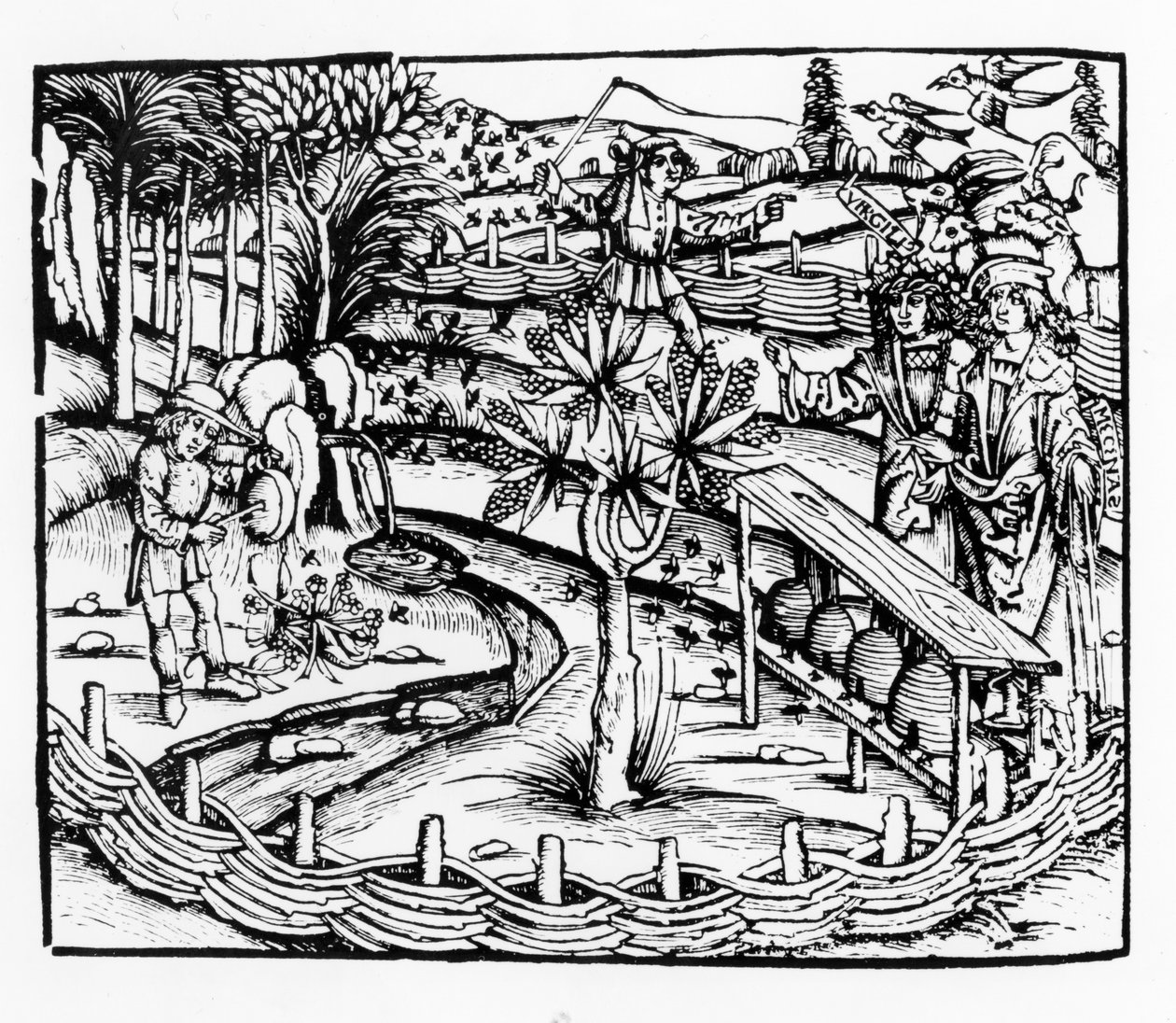 ミツバチの世話をする幸せな夫、バージルのGeorgicsからのイラスト、セバスチャン・ブランツ（1457-1521）版の本IV、1502年発行 作： ドイツ語学校