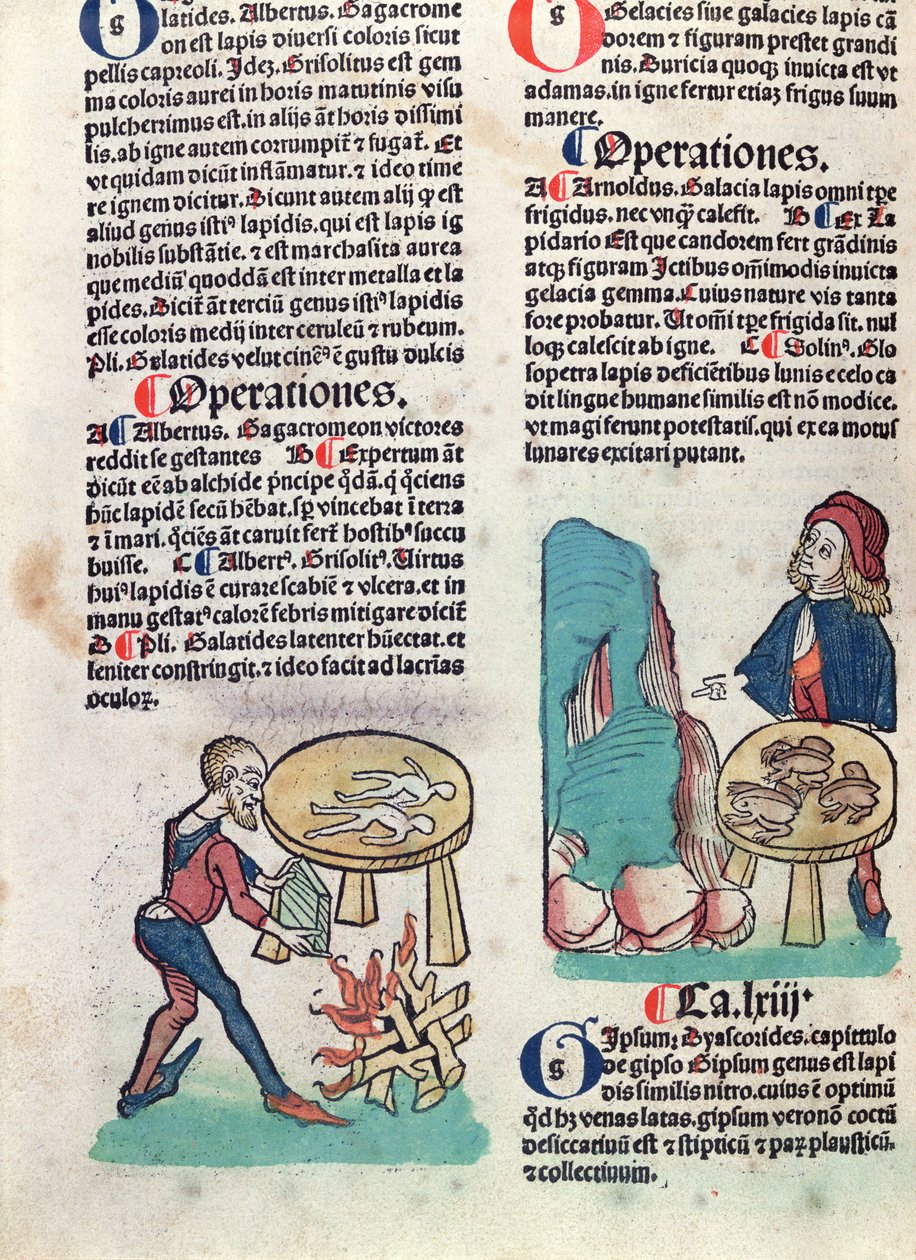 Hortus Sanitatisのイラスト入りのページ、1491年（色の木版画） 作： ドイツ語学校