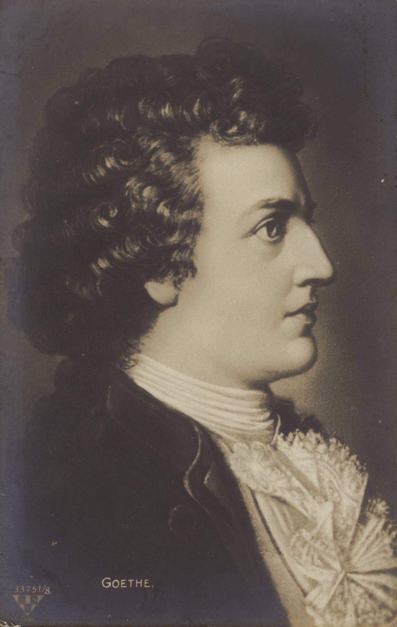 ヨハン・ヴォルフガング・フォン・ゲーテ（1749-1832）ドイツの詩人、小説家、劇作家（リトグラフ） 作： ドイツ語学校