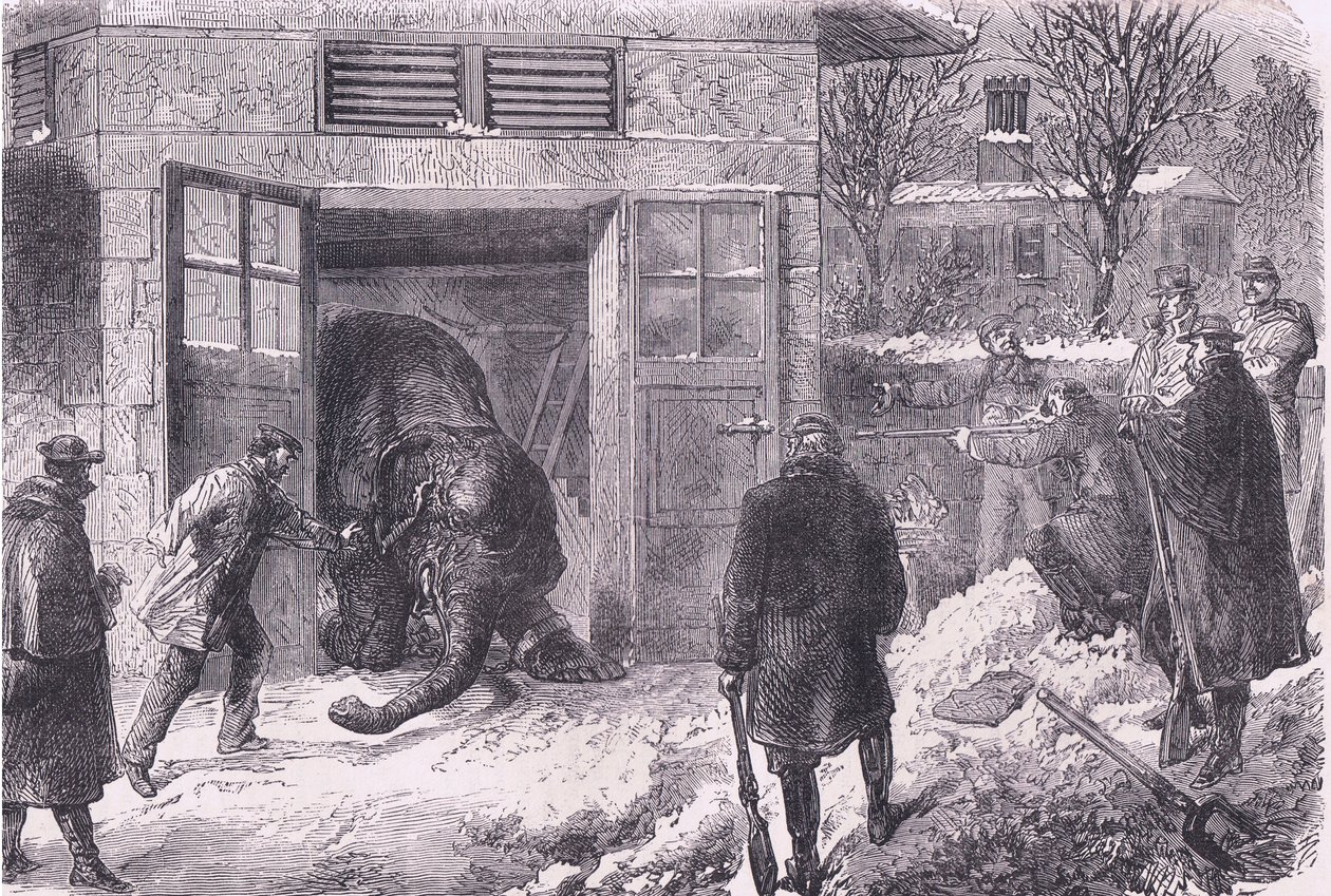 1890年頃にCassell and Company Limitedから出版された『Cassells History of the War between France and Germany』のJardin D