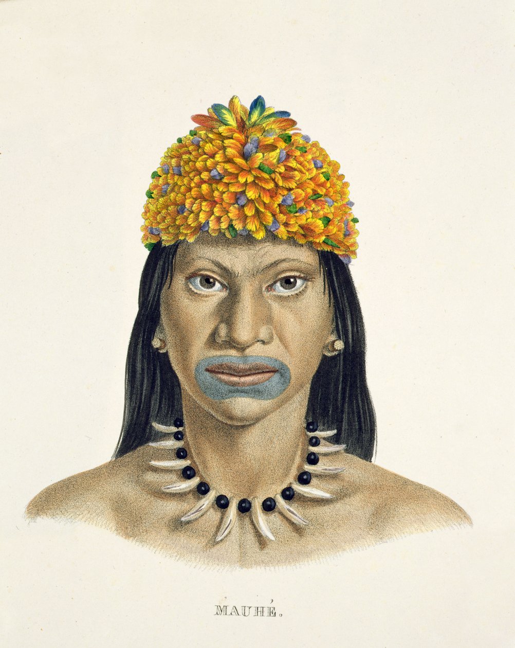 ブラジルの旅の地図（ヨハンバプティストフォンスピックス（1781-1826）およびカールフリードリヒフィリップマルティウス（1794-1868）作） 作： ドイツ語学校
