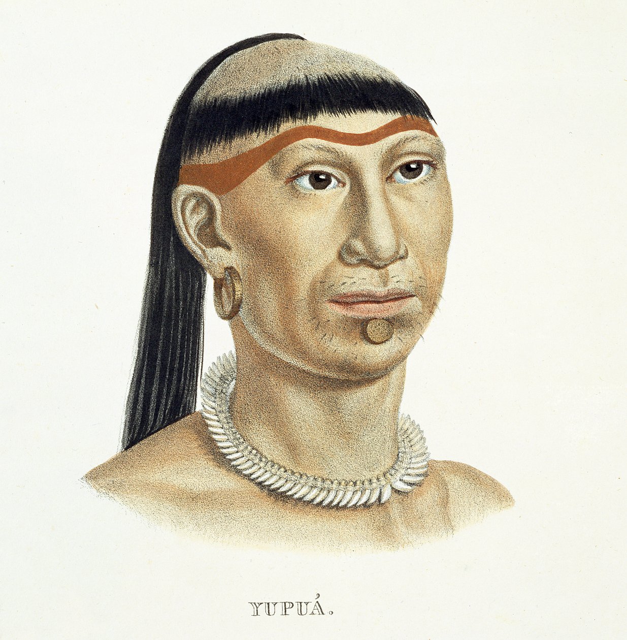ヨハン・バプティスト・フォン・スピックス（1781-1826）とカールフリードリヒフィリップマルが手掛けたブラジルの旅の地図から、毛を刈り取り、剃毛した髪と動物の歯で作られたネックレスを持つユプア族の先住民 作： ドイツ語学校