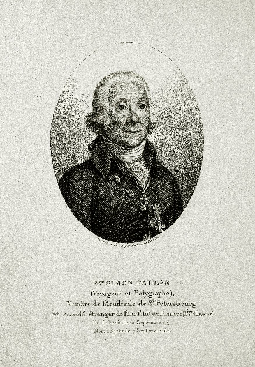 ピーター・シモン・パラス（1741～1811）（線刻画 作： ドイツ語学校