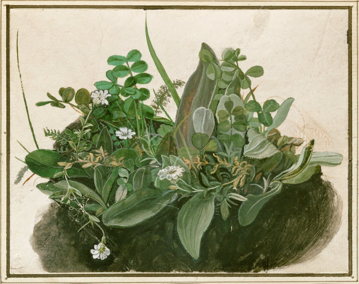  作： ドイツ語学校