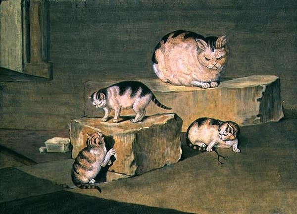 ネコの研究 作： ドイツ語学校