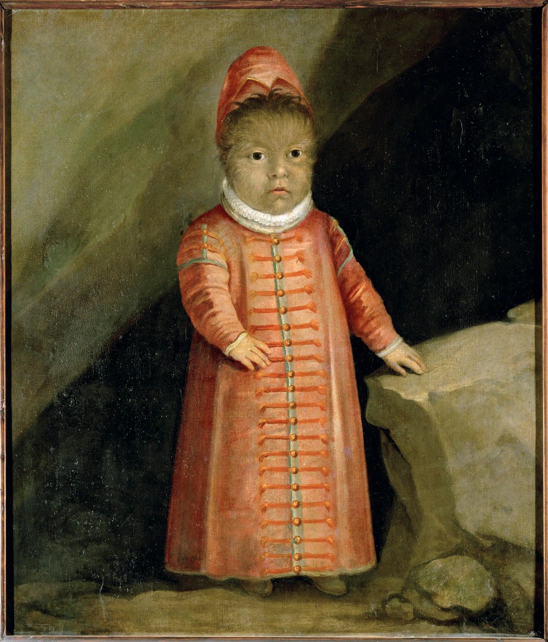 ペトルス・ゴンザルバスの息子は、1596年に検査を受けた... 作： ドイツ語学校