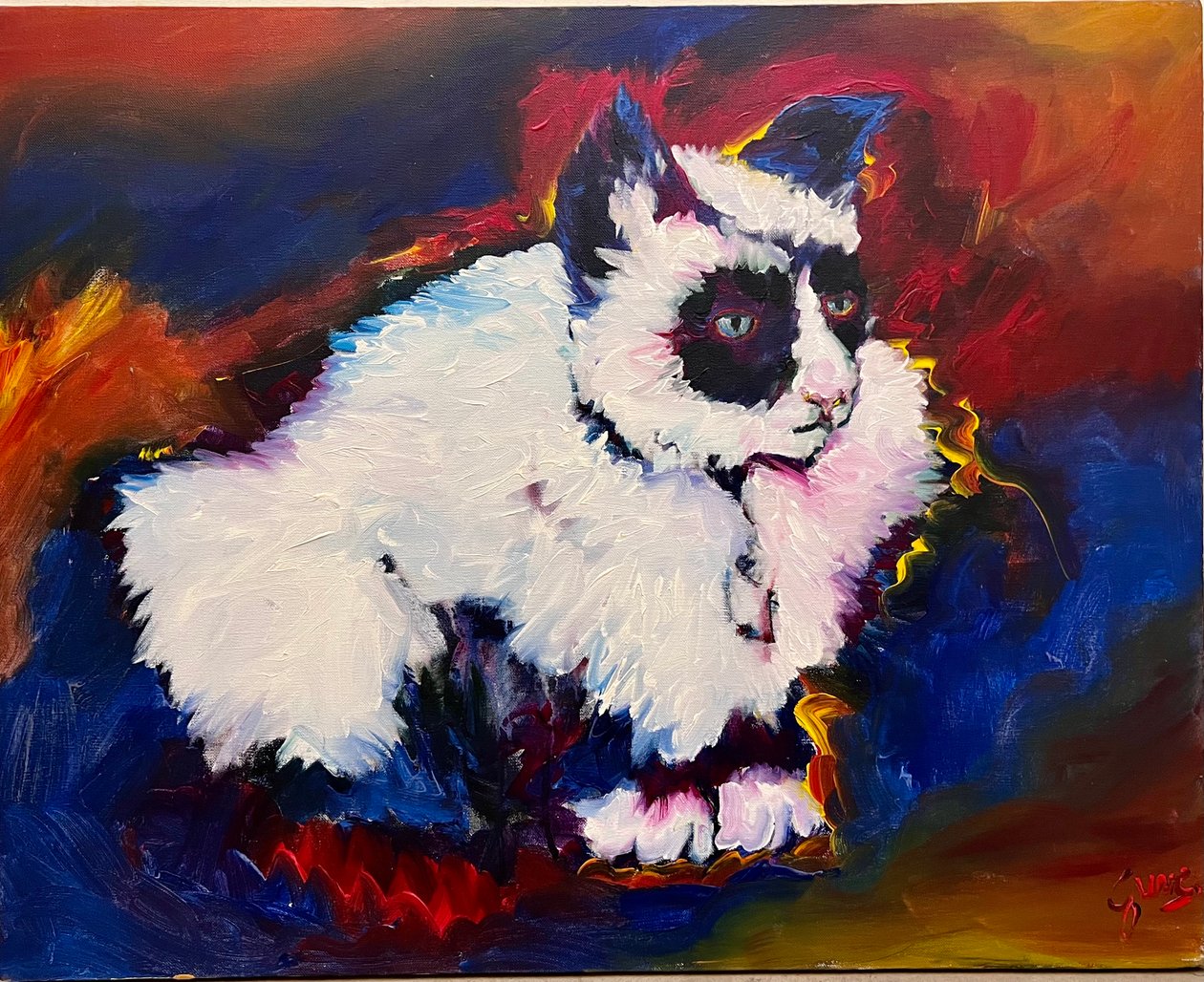 猫のバンジー 作： 