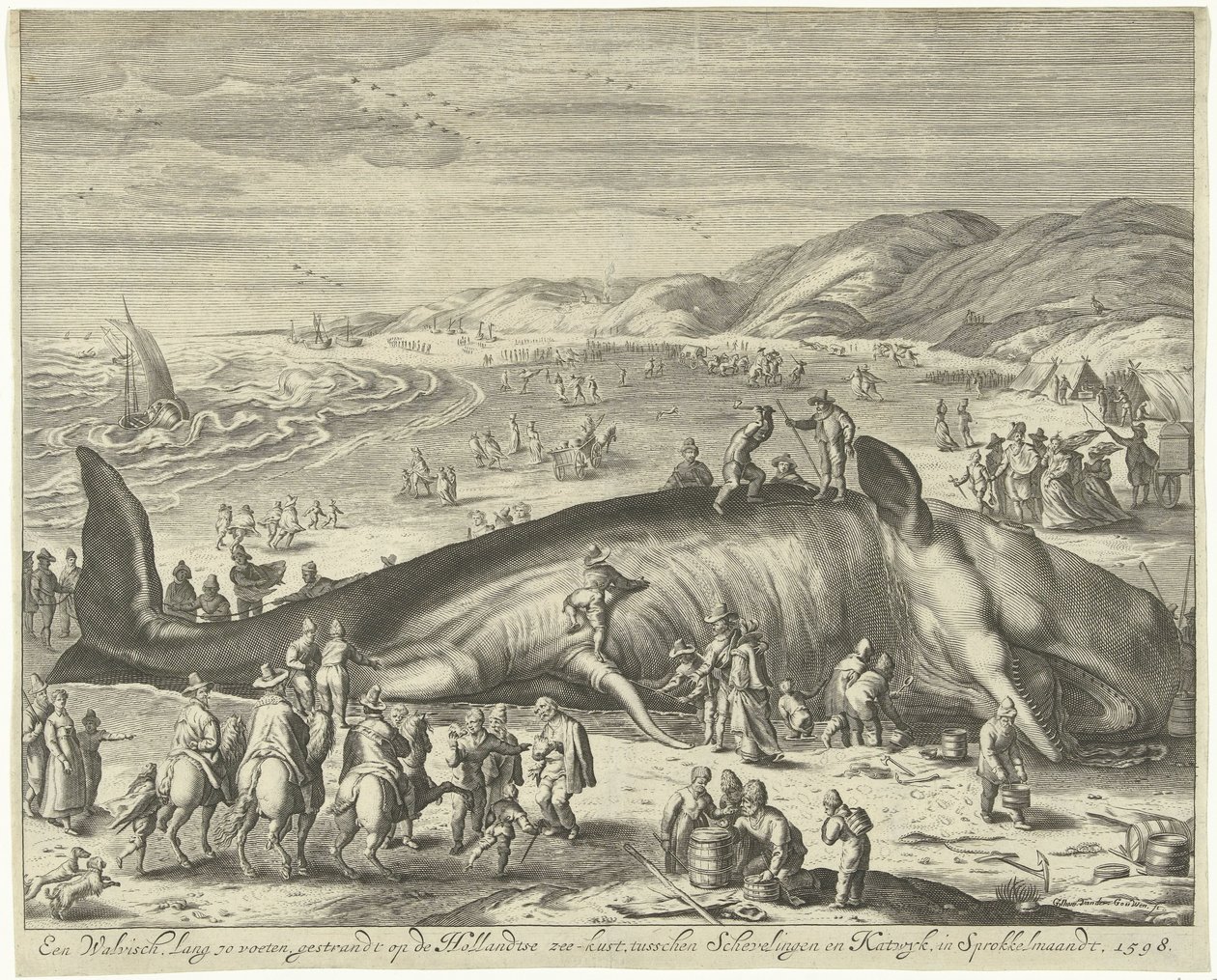 バークヘイで座礁したクジラ、1598 年 1598 年、Sprokkelmaandt の Schevelingen と Katwyk の間のオランダの海岸に座礁した体長 70 フィートのクジラ (オブジェクトのタイトル) 作： Gilliam van der Gouwen