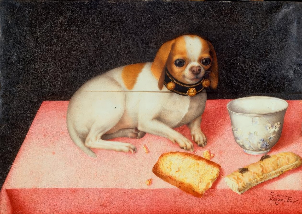 パンカットの子犬 作： ジョバンナ・ガルゾーニ