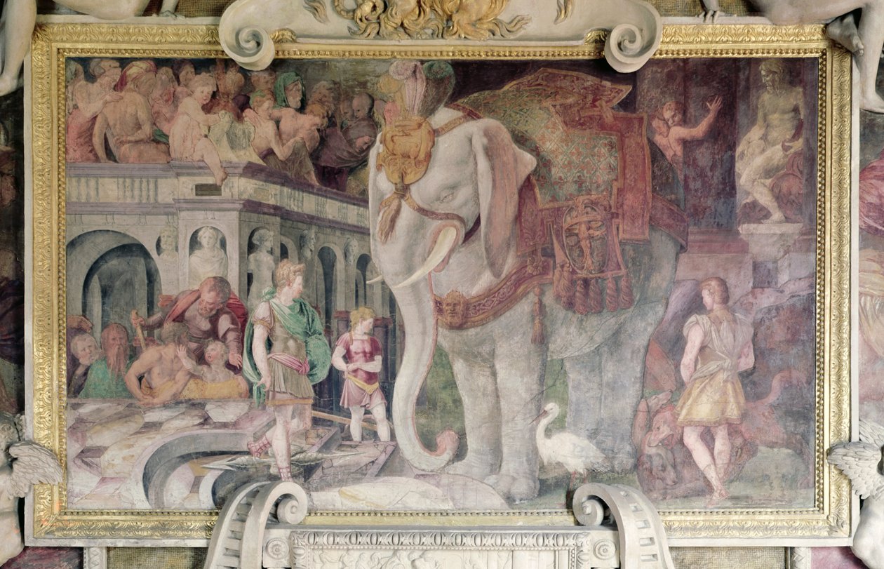 ロイヤルエレファント、フランシス1世のギャラリーから（1494-1547） 作： ジョバンニ・バッティスタ・ロッソ・フィオレンティーノ