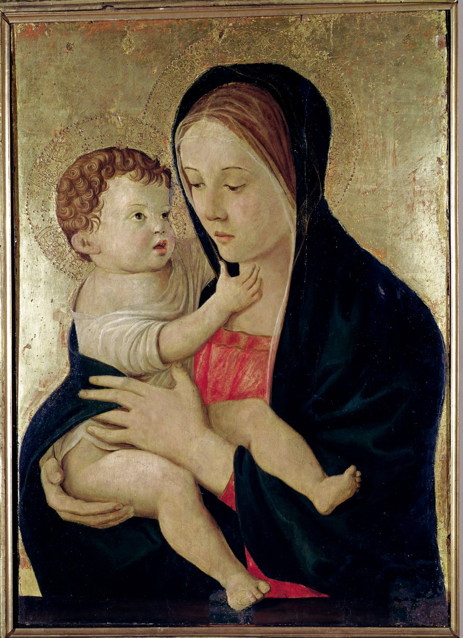 マドンナと子供、1475年頃（パネル上のテンペラ） 作： ジョバンニ・ベリーニ
