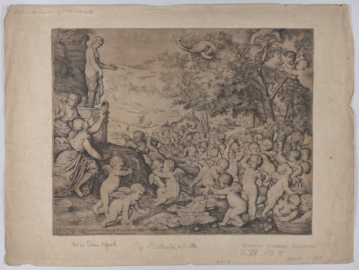 ヴィーナス像の前のプッティ、ティツィアーノの後、1636年。 作： ジョバンニアンドレアポデスタ