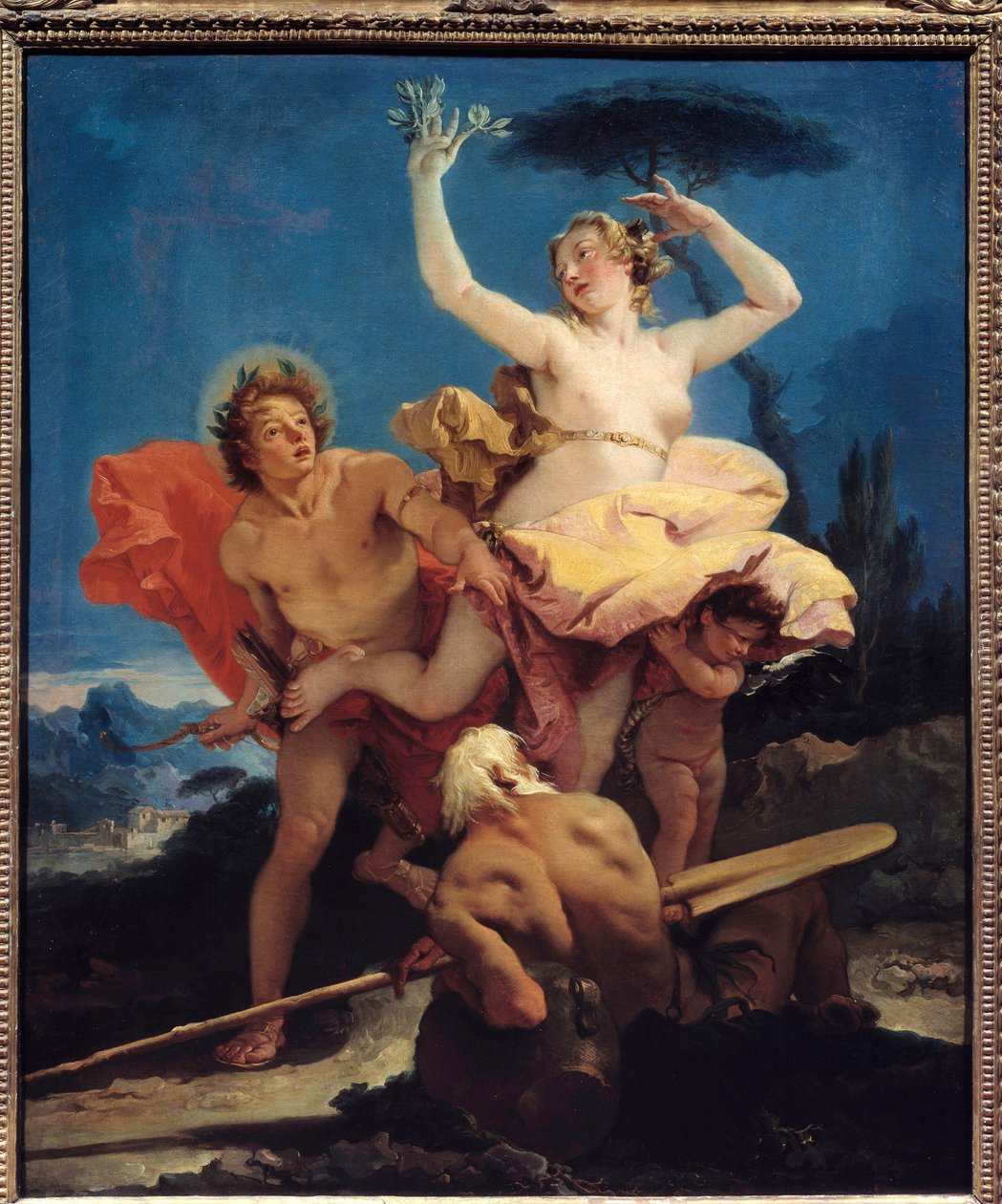 アポロとダフネの絵 ジョヴァンニ・ティエポロ（1696-1770）作 18世紀