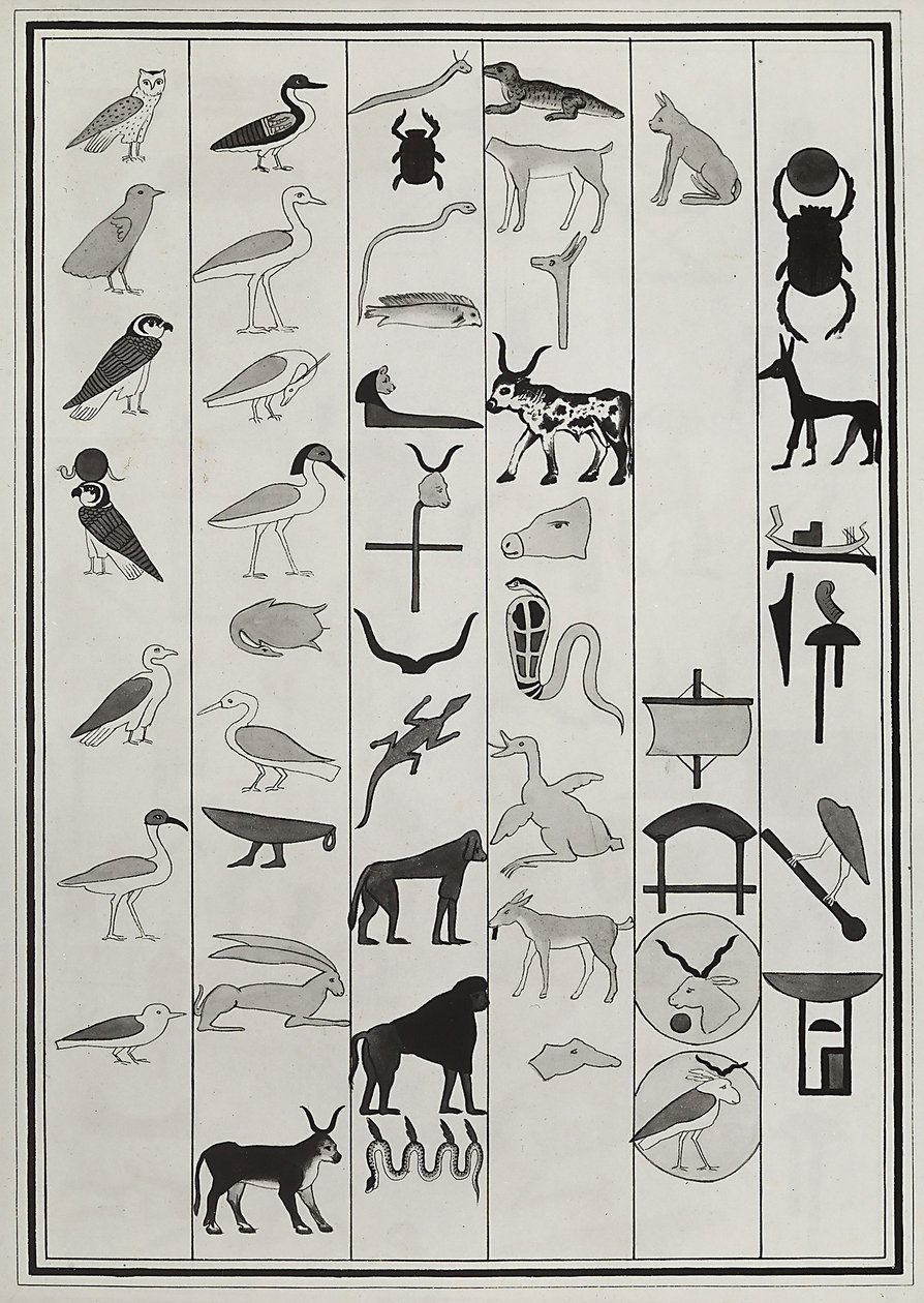 1817 年にジョヴァンニ バッティスタ ベルゾーニによって再現されたファラオ プサメティッチ 1 世の墓の内部からの装飾の図面、ロンドンの大英博物館に所蔵 作： ジョヴァンニ・バッティスタ・ベルゾーニ