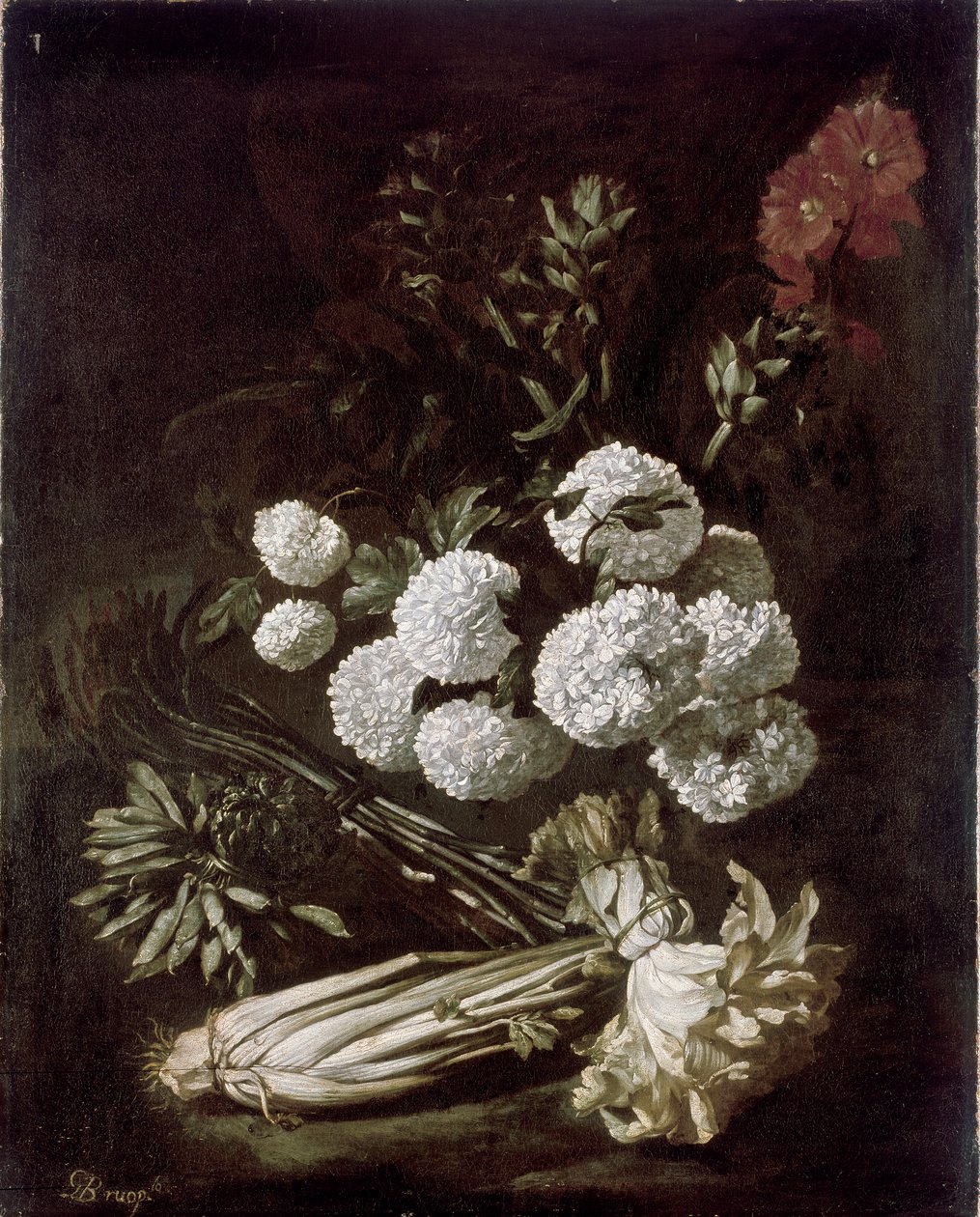 花と野菜の静物画 1650年代 作： ジョバンニ・バティスタ・ルオッポロ