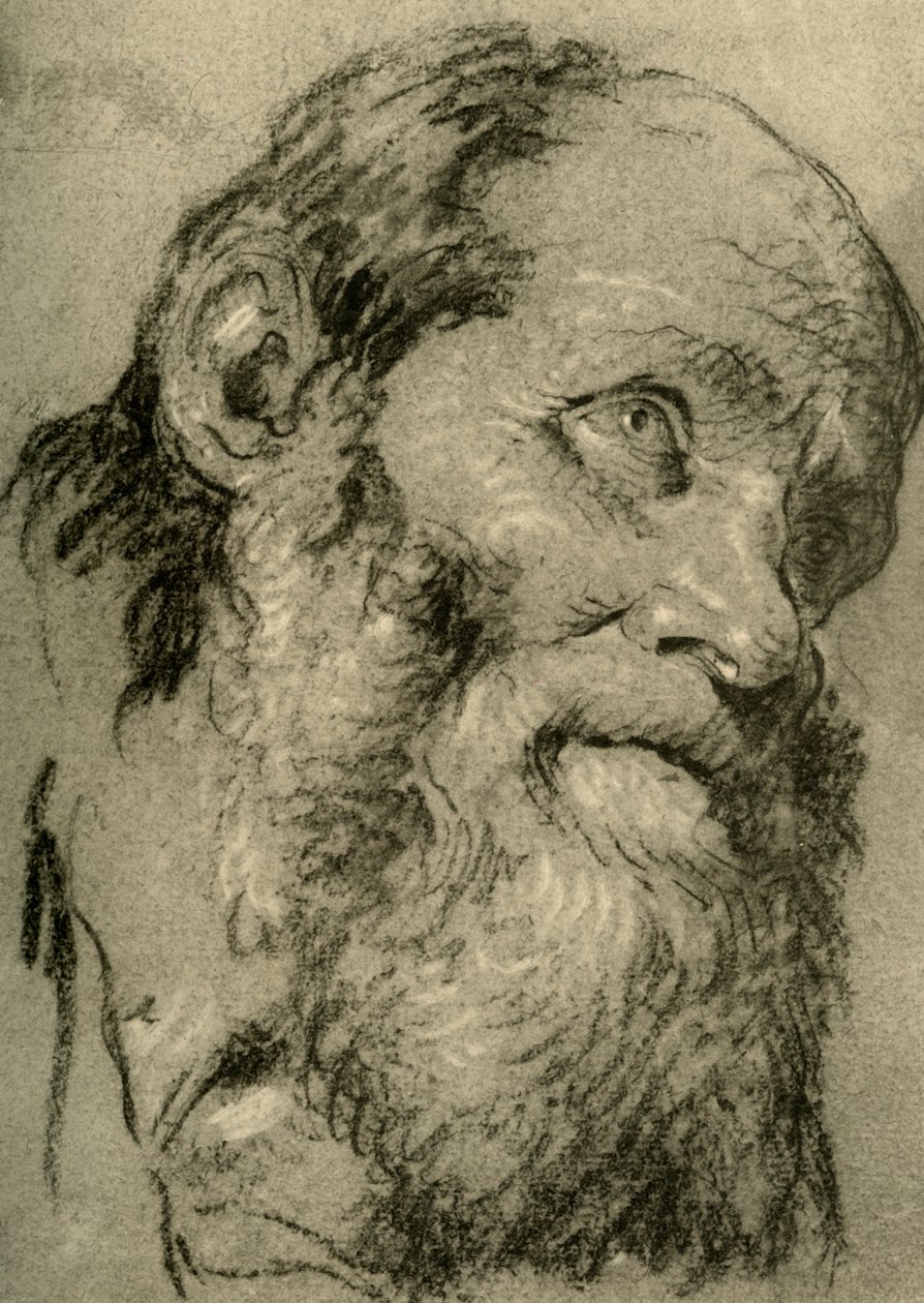 老人の頭、c1755、1928 作： ジョバンニ・バティスタ・ティエポロ