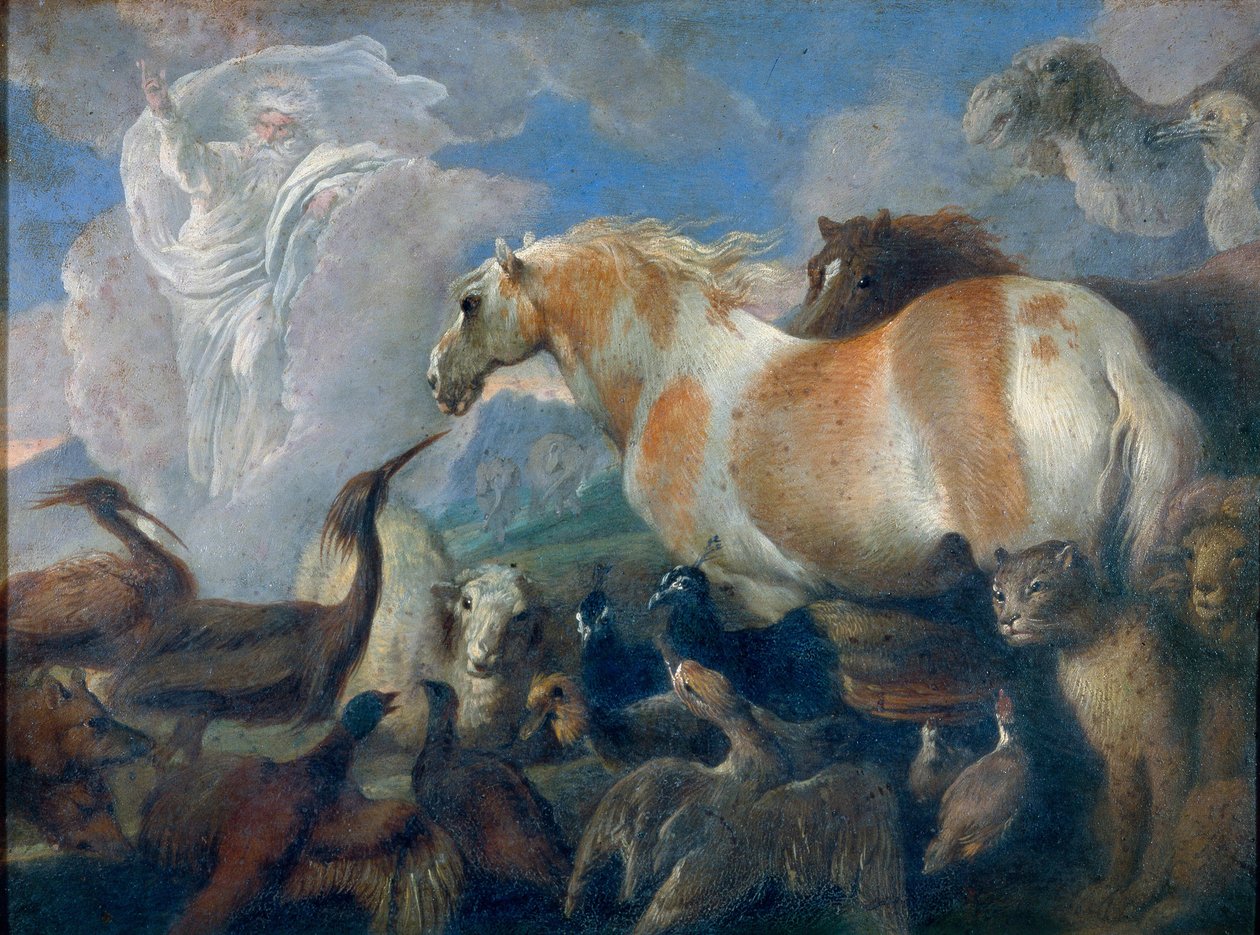 創造（ジェネシス）。 ジョヴァンニ ベネデット カスティリオーネ (1610-1665) の絵画、キャンバスに油彩、17 世紀半ば。 イタリア美術（ジェノバ） 作： ジョバンニベネデットカスティリオーネ