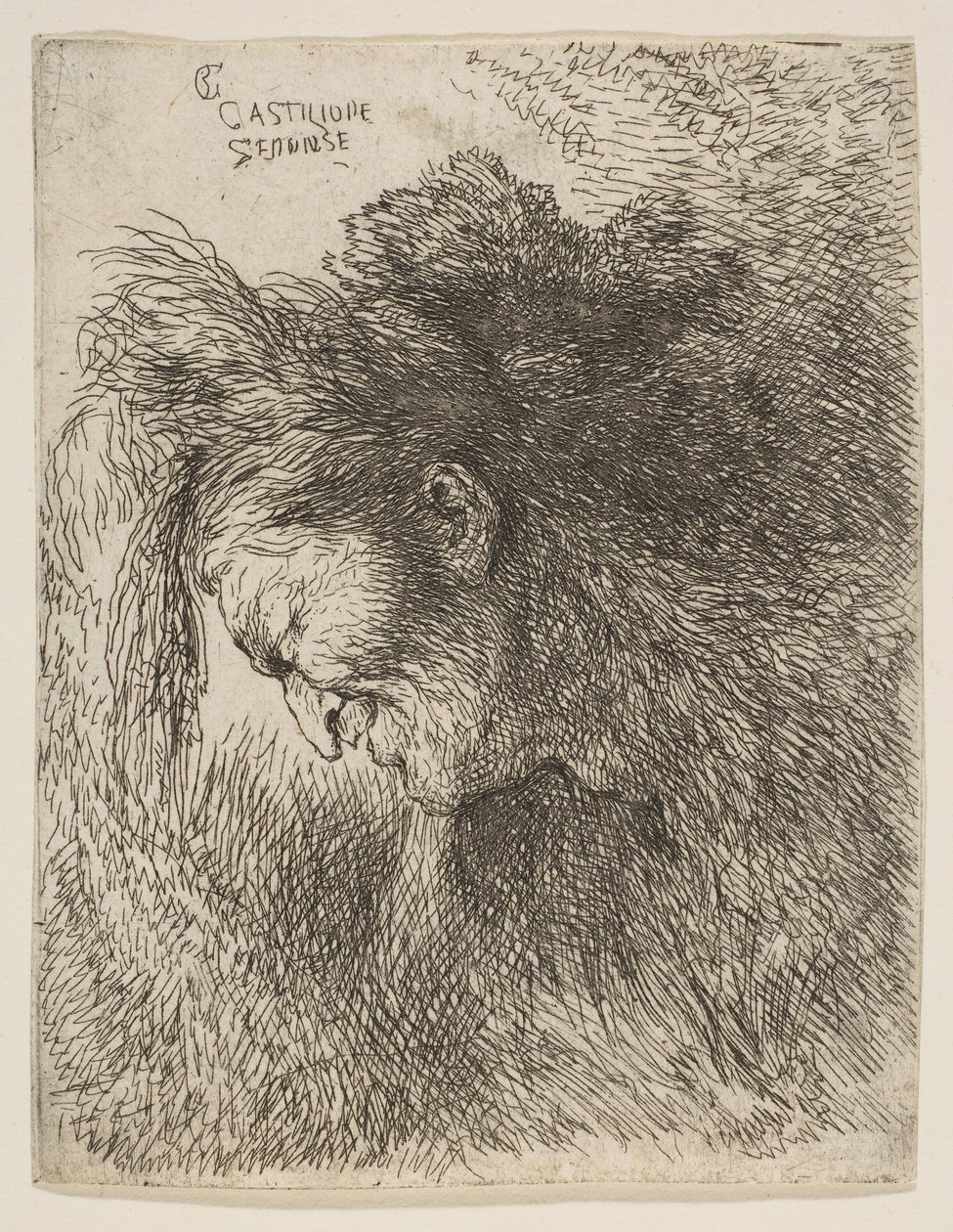 ...、ca。 1645-1650。 作： ジョバンニベネデットカスティリオーネ
