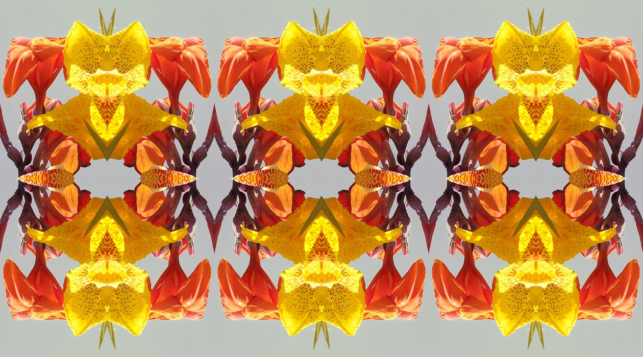不自然な190（デジタルで加工された写真 作： ジョヴァンニ・カファーニャ