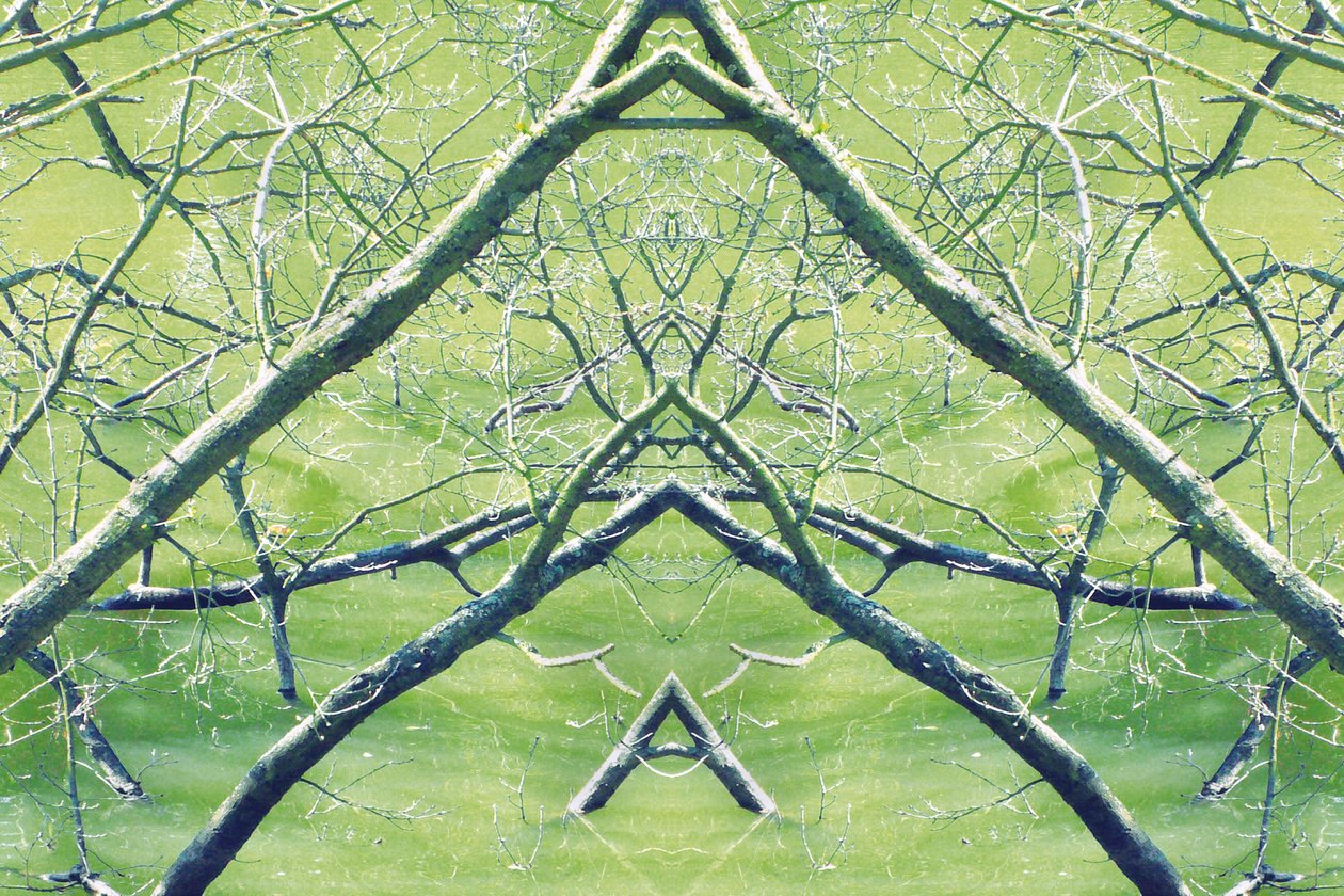 Unnatural 30（デジタル処理された写真） 作： ジョヴァンニ・カファーニャ