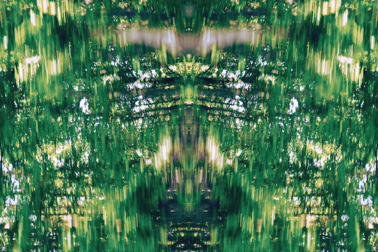 Unnatural 31（デジタル処理された写真） 作： ジョヴァンニ・カファーニャ