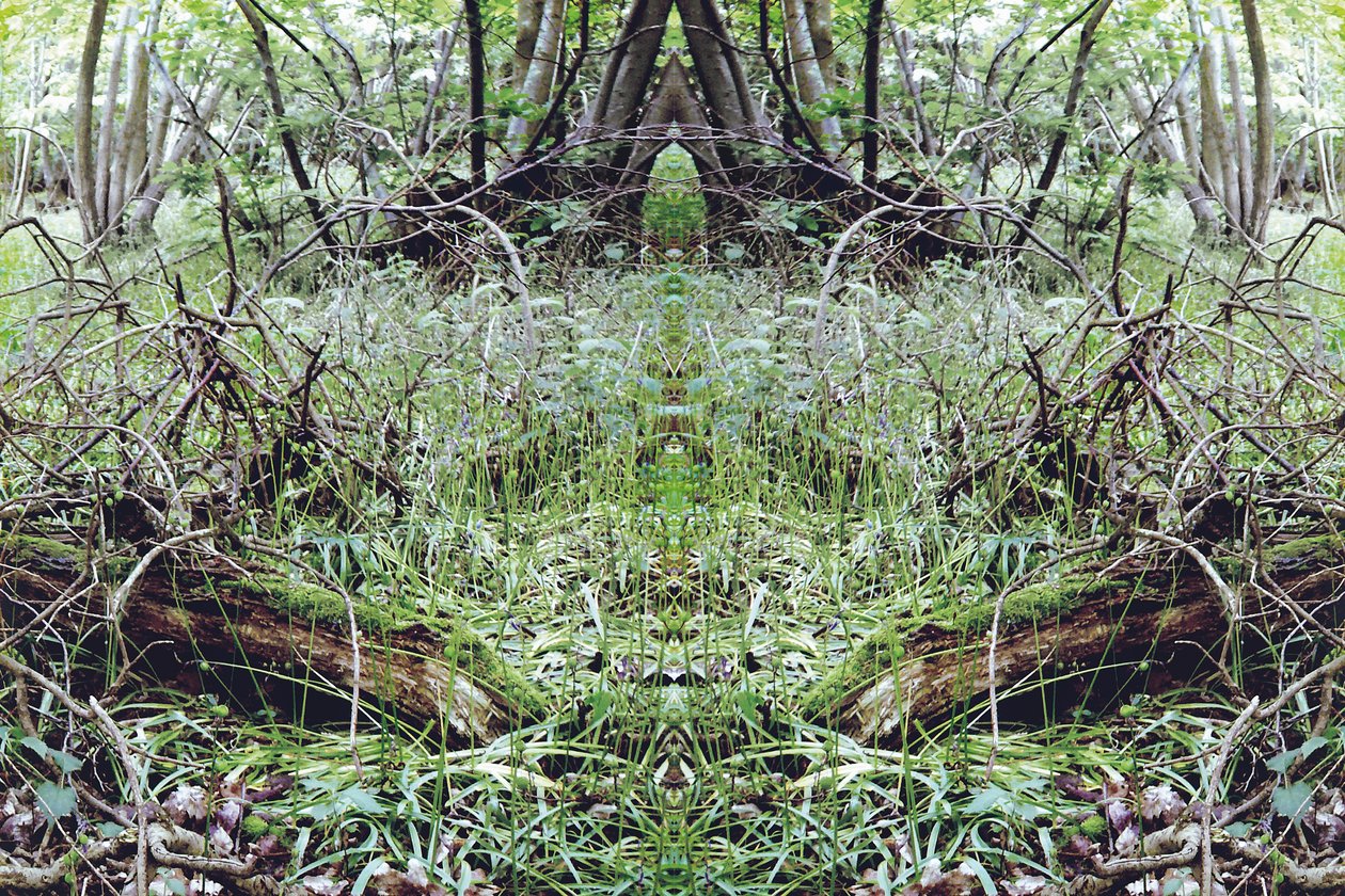 Unnatural 33（デジタル処理された写真） 作： ジョヴァンニ・カファーニャ