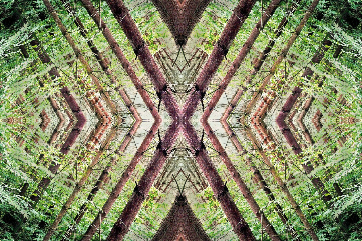 Unnatural 37（デジタル処理された写真） 作： ジョヴァンニ・カファーニャ