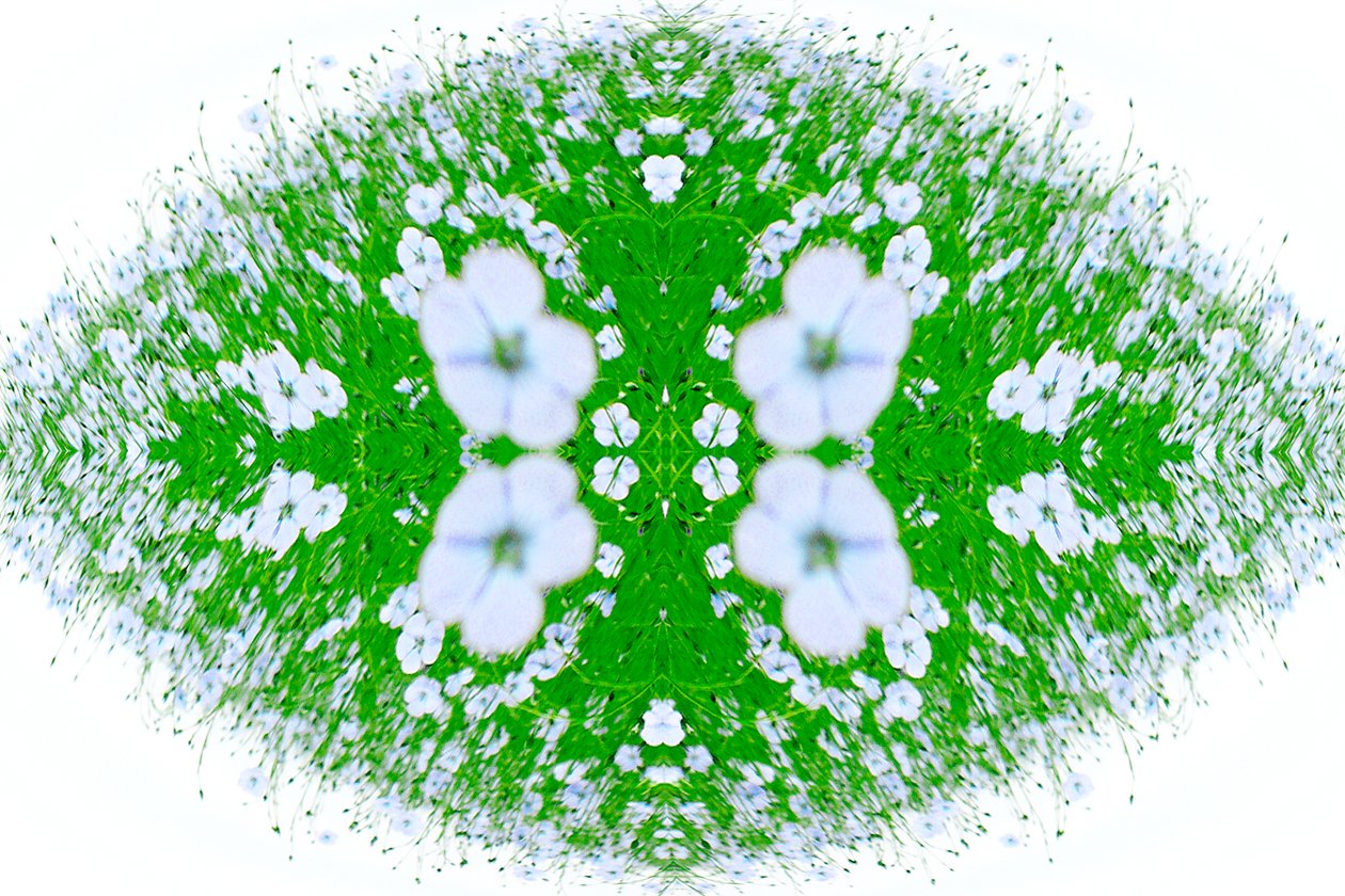 Unnatural 37（デジタル処理された写真） 作： ジョヴァンニ・カファーニャ