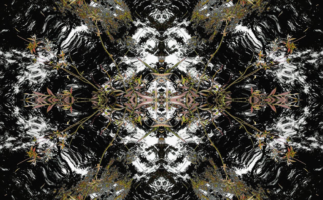 Unnatural 37（デジタル処理された写真） 作： ジョヴァンニ・カファーニャ